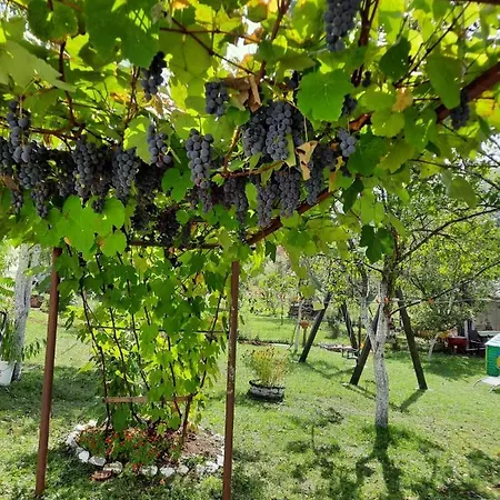 Seosko Domacinstvo Halil & Alema *