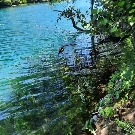 Seosko Domacinstvo Halil & Alema アパート *