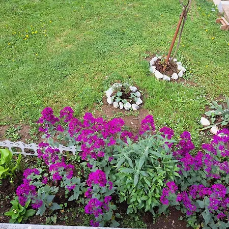 アパート Seosko Domacinstvo Halil & Alema *