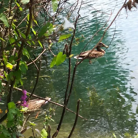 アパート Seosko Domacinstvo Halil & Alema